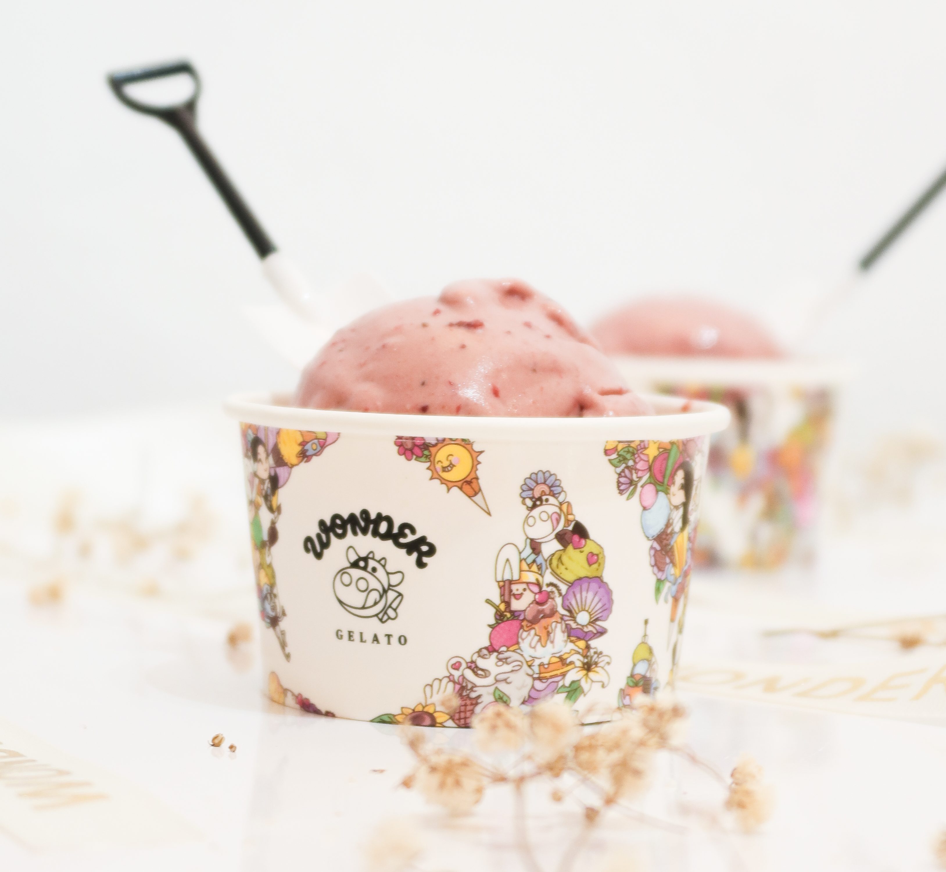 Wonder Gelato Berry Much